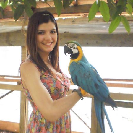 Amazon Rainforest Lodge Padre Cocha エクステリア 写真
